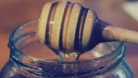 med honey-dipper-924732 1280